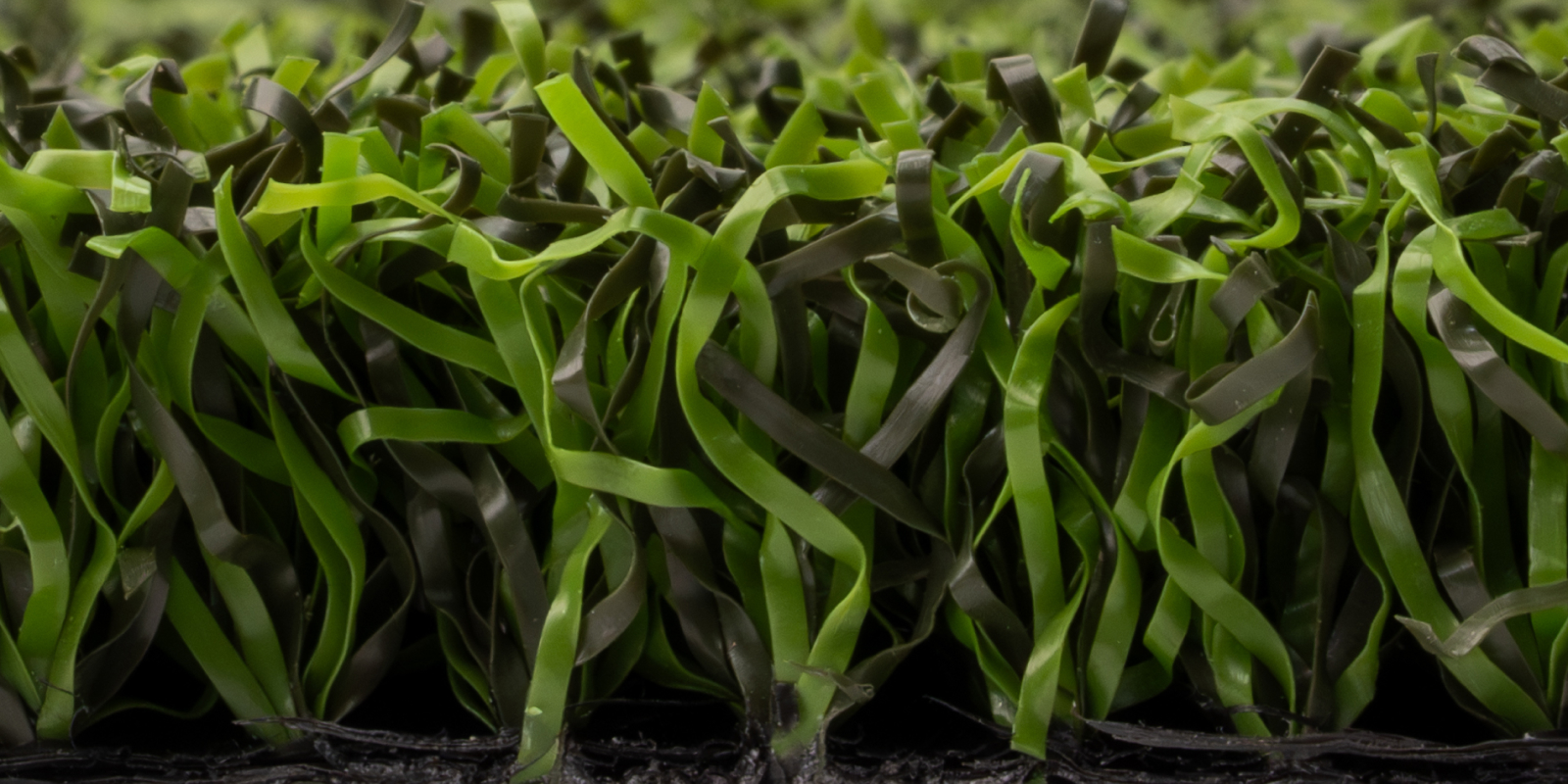 Product Spotlight 2026: Putting Green PP 40 Product Spotlight 2026: Putting Green PP 40