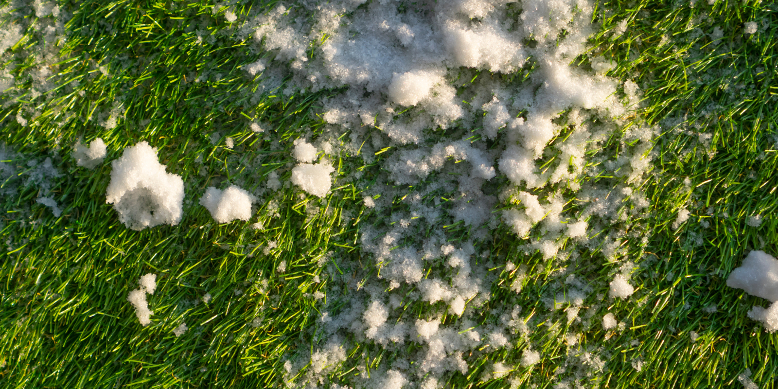 Evergreen Curb Appeal: How Artificial Turf Landscaping Keeps Commercial and Residential Properties Lush All Winter Evergreen Curb Appeal: How Artificial Turf Landscaping Keeps Commercial and Residential Properties Lush All Winter